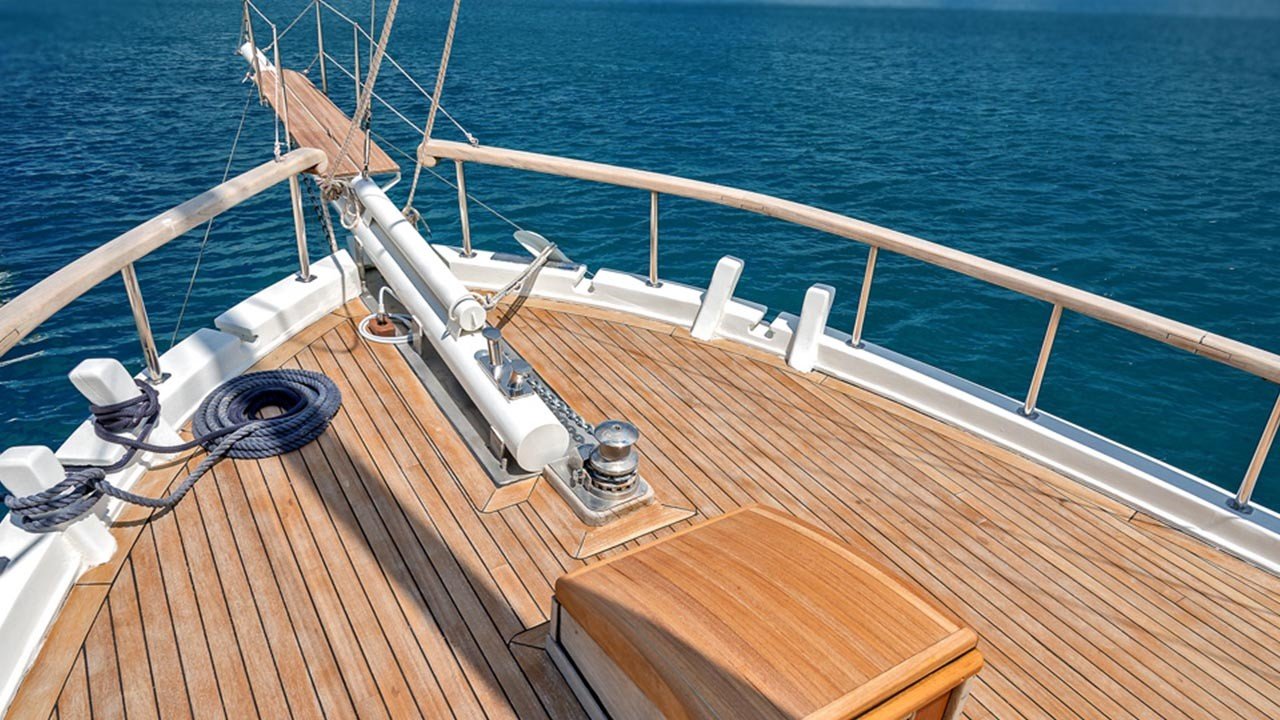 sedna yacht charter