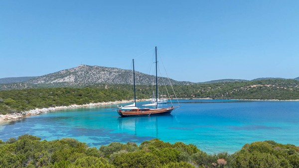 Gulet Performance Fee